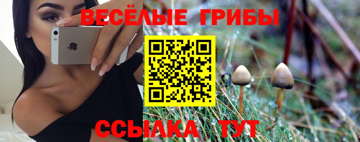 Галлюциногенные грибы Magic Shrooms  Вход с VPN  Псилоцибиновые грибы мицелий  Благодарный 